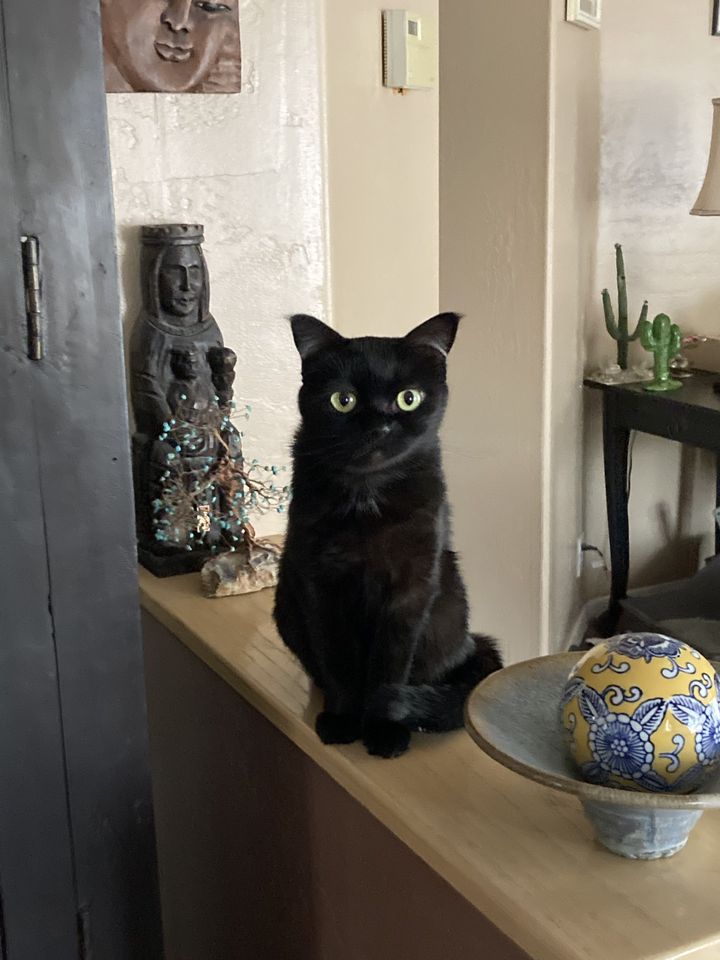 Bombay